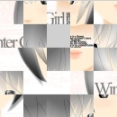 Puzzler