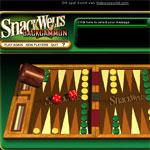 SW Backgammon