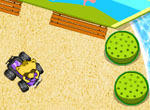 Raccoon Racing