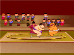 Sumo
